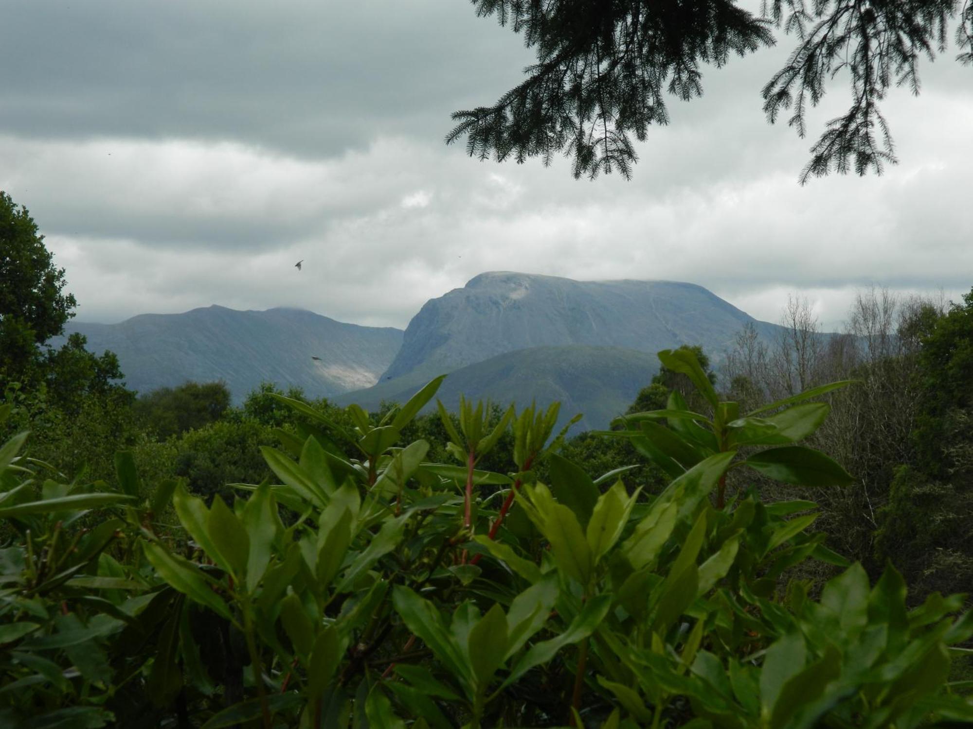 Tom Beag - Ben Nevis View Rooms Fort William Luaran gambar