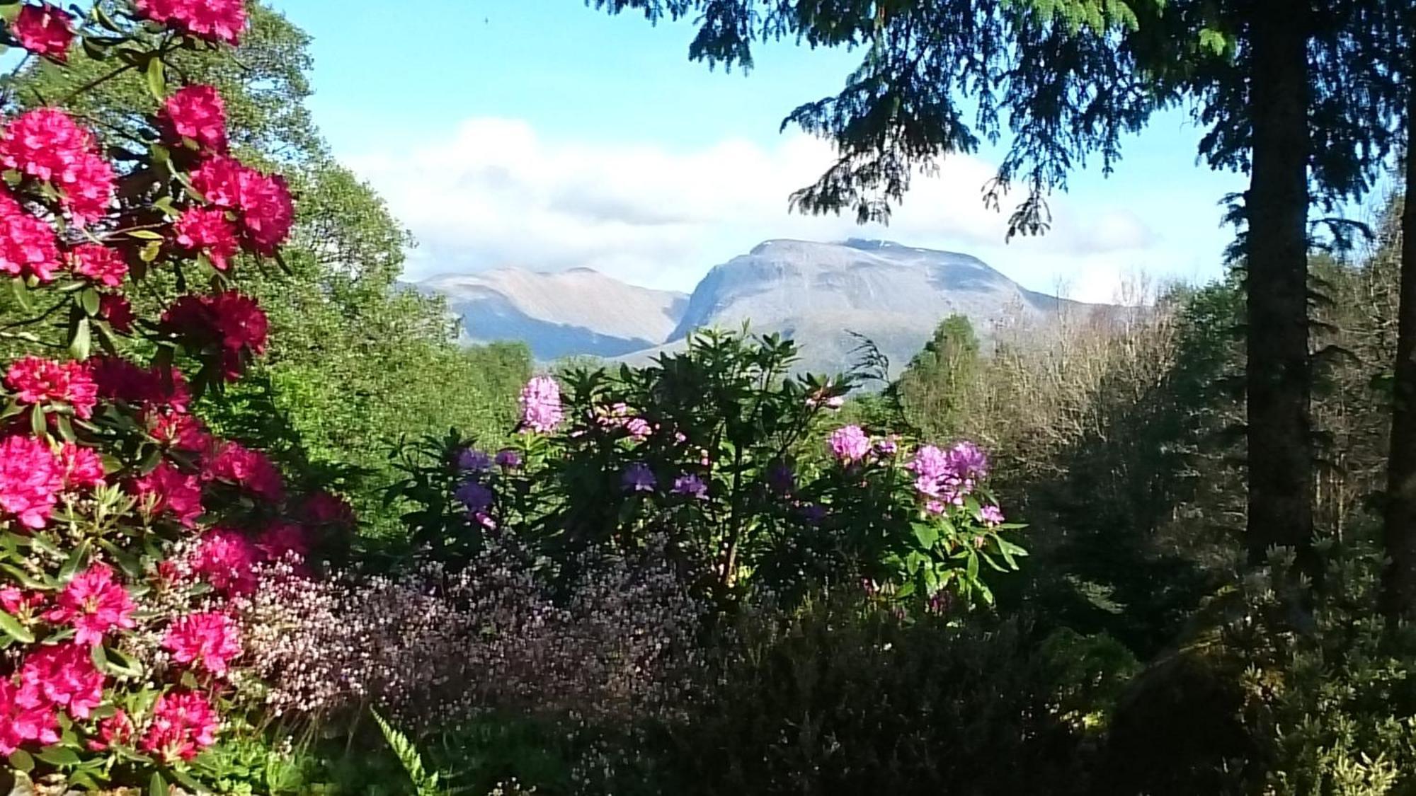 Tom Beag - Ben Nevis View Rooms Fort William Luaran gambar